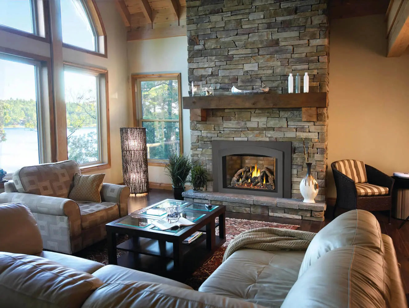 Napoleon Oakville X4 Direct Vent Natural Gas Fireplace Insert - Electronic Ignition NPL-GDIX4N-1