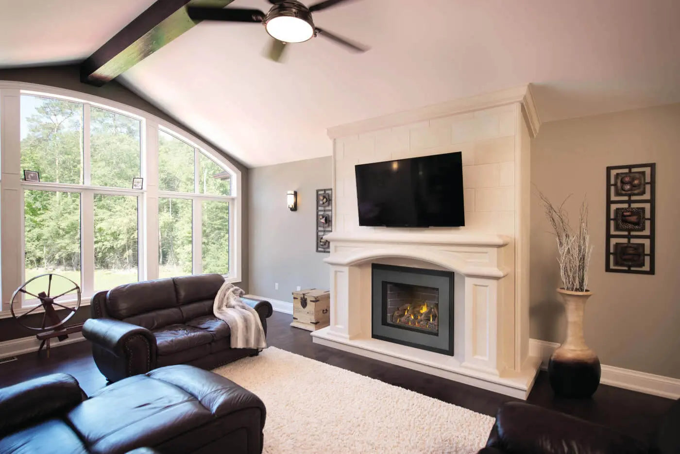 Napoleon Oakville X4 Direct Vent Natural Gas Fireplace Insert - Electronic Ignition NPL-GDIX4N-1