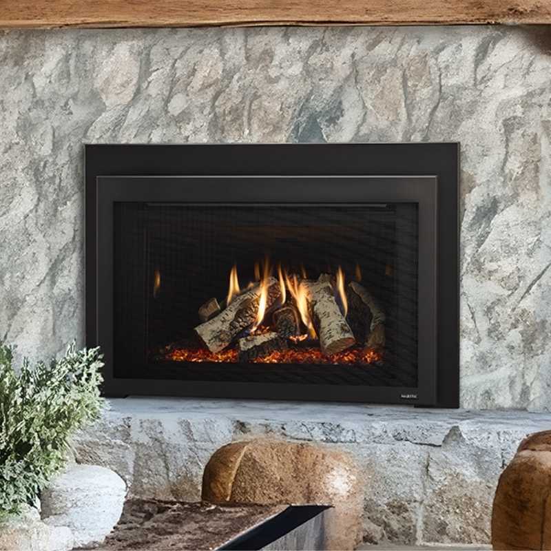 Majestic Ruby Platinum 30" Direct Vent Gas Insert RUBYP30IN