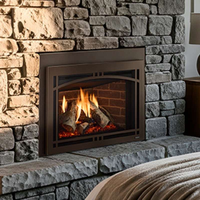 Majestic Ruby Platinum 30" Direct Vent Gas Insert RUBYP30IN