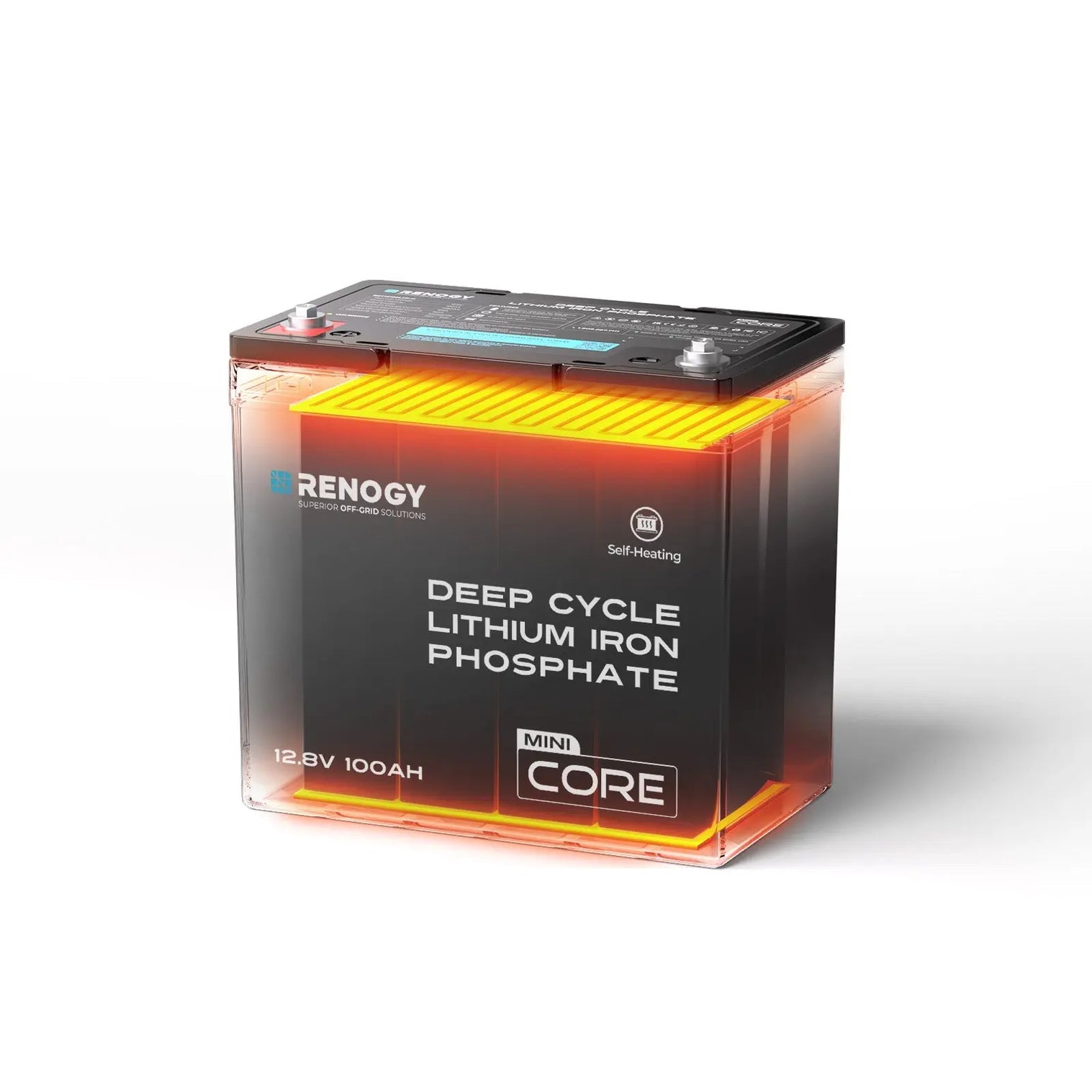 Renogy 12.8V 100Ah Lithium Iron Phosphate Battery RBT12100LFP-M-US