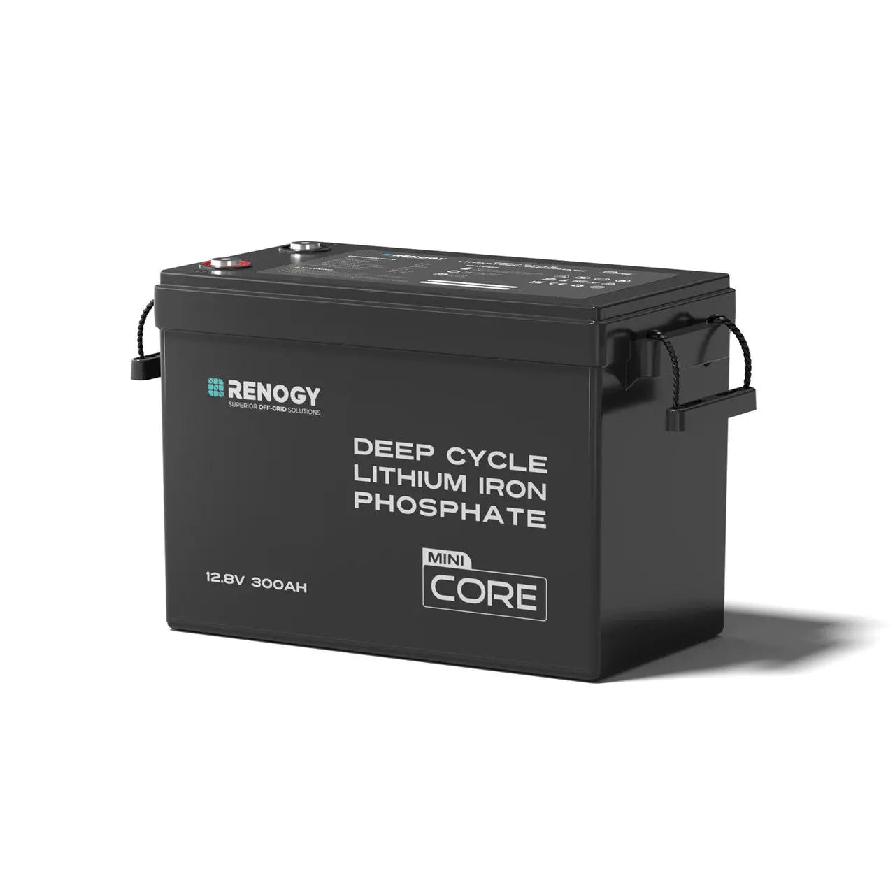 Renogy Mini Size 12V 300Ah LiFePO4 Battery w/ Low-Temperature Protection RBT12300LFP-M-US