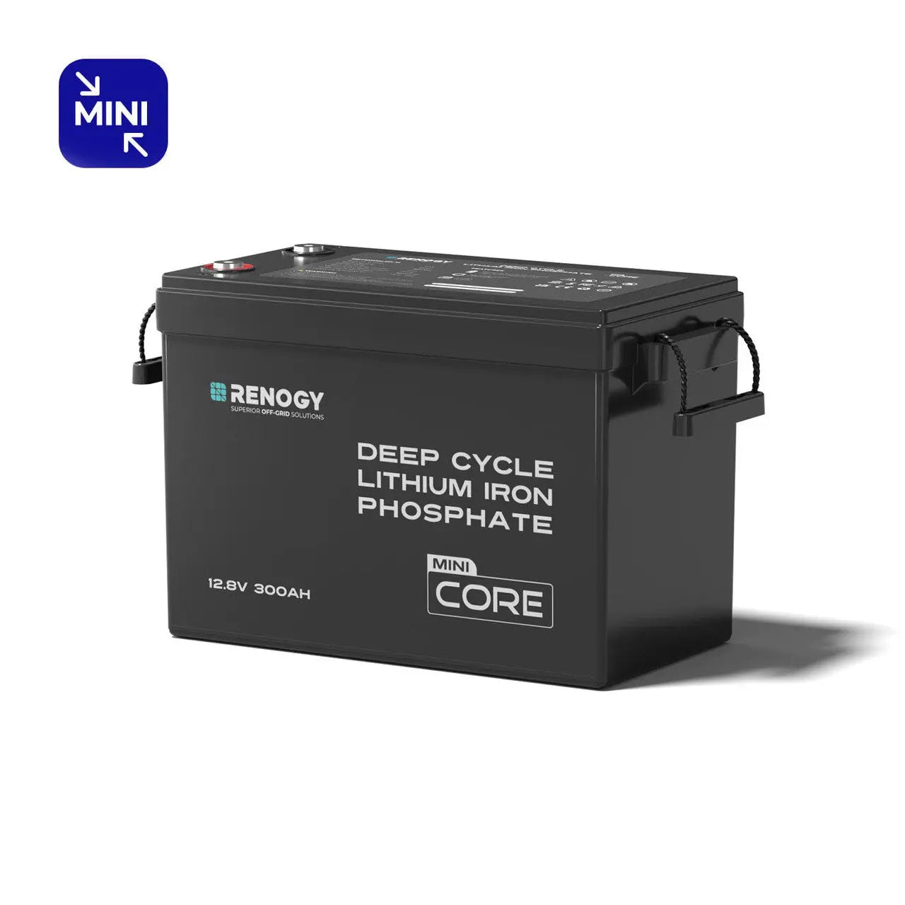 Renogy Mini Size 12V 300Ah LiFePO4 Battery w/ Low-Temperature Protection RBT12300LFP-M-US