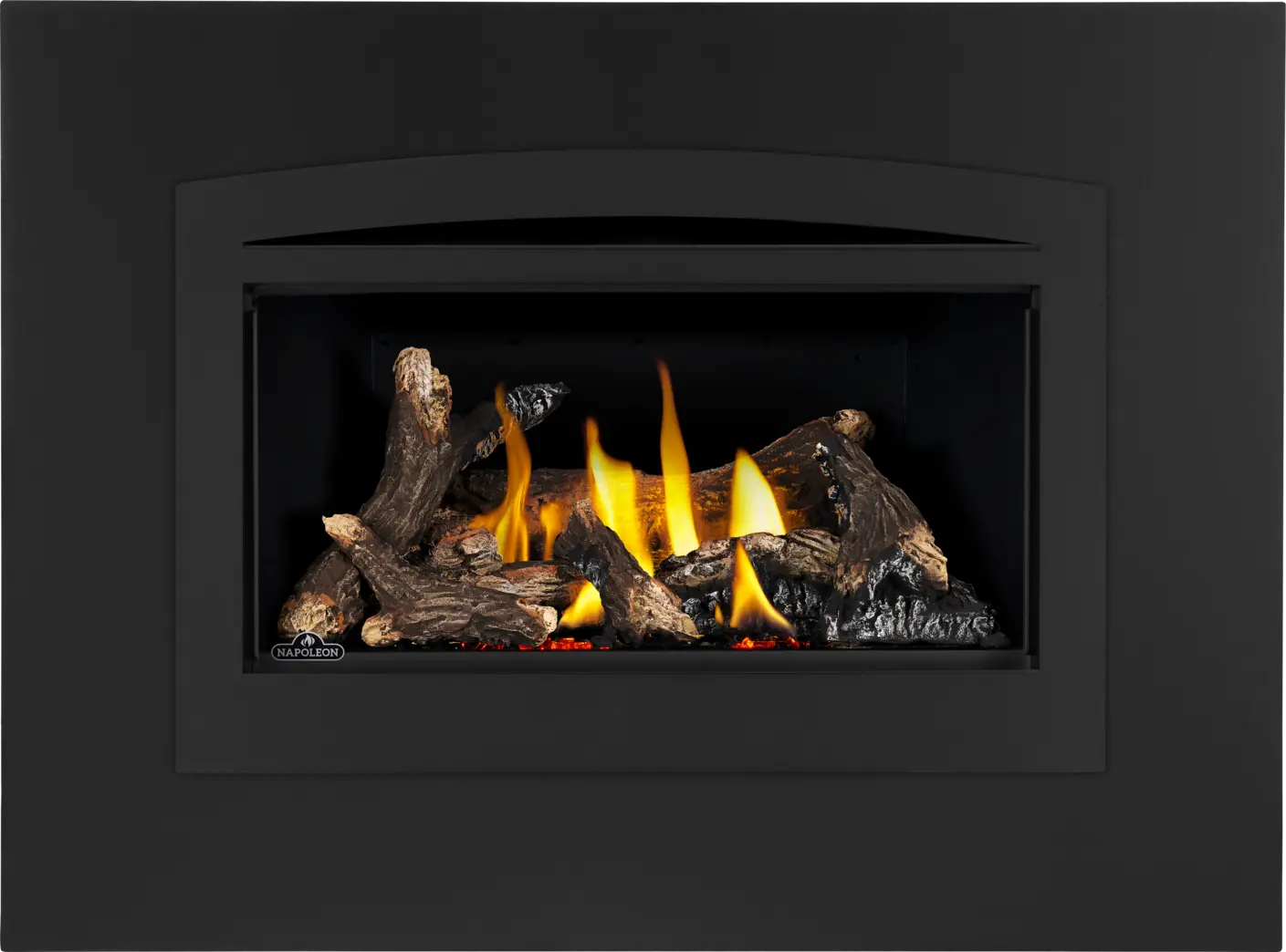Napoleon Rosedale 2 Direct Vent Natural Gas Fireplace Insert NPL-RD2NE