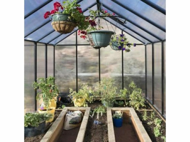 Riverstone MONT Greenhouse- Mojave Package MONT-12-BK-MOJAVE