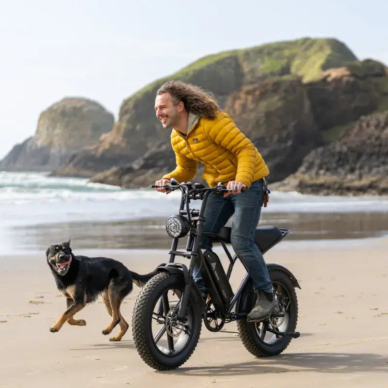 TST R002 20'' 1500W Full Suspension Moped-style Electric Bike