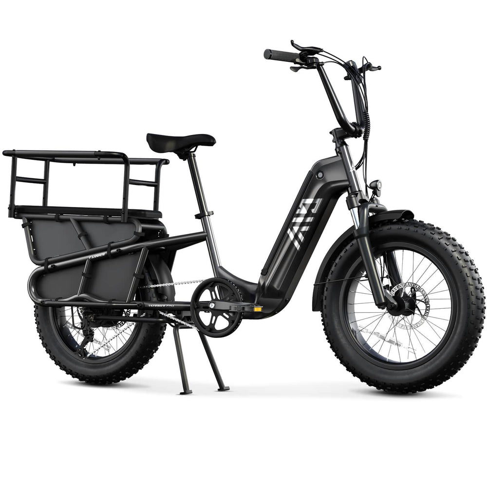TST Carrier 20'' Cargo Electric Bike