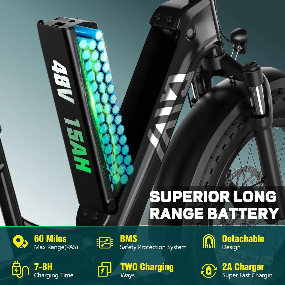 TST Carrier 20'' Cargo Electric Bike