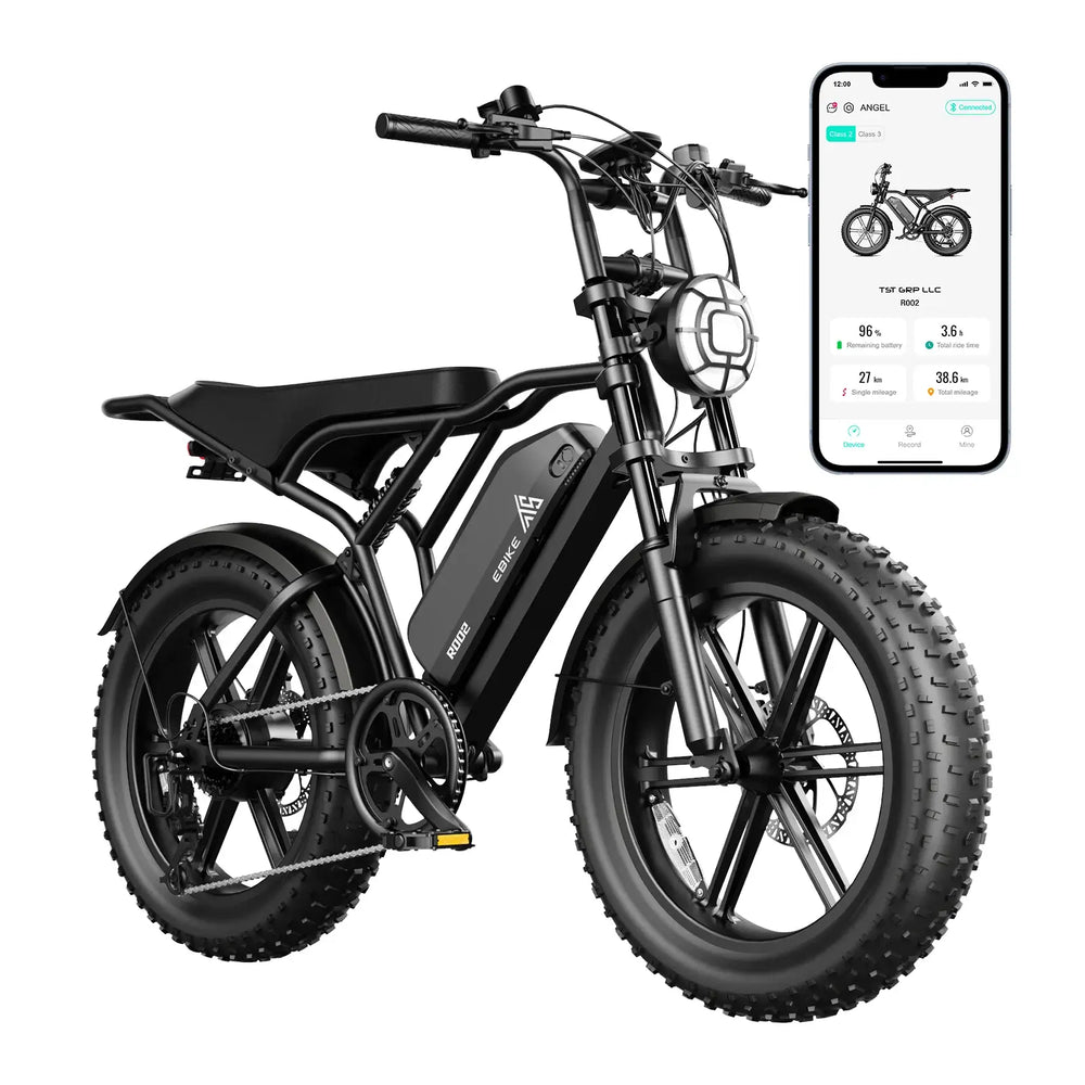 TST R002 20'' 1500W Full Suspension Moped-style Electric Bike
