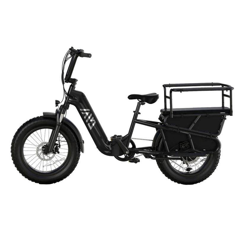 TST GRP LLC TST Carrier 20'' Cargo Electric Bike - Black