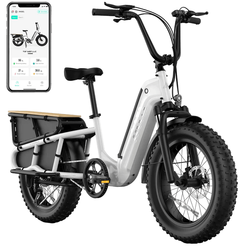 TST Carrier 20'' Cargo Electric Bike