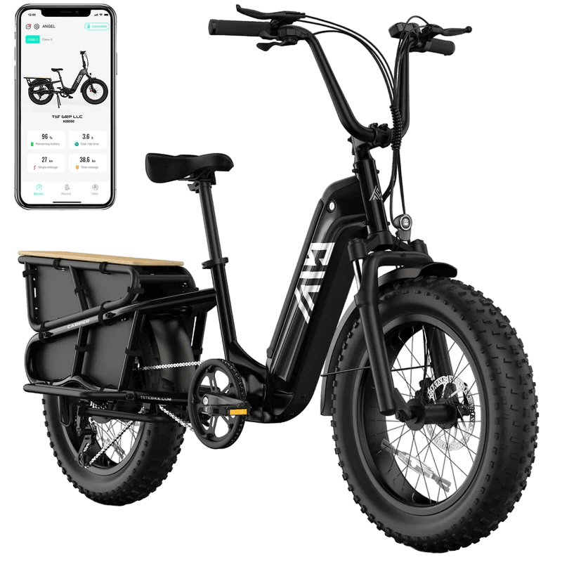 TST Carrier 20'' Cargo Electric Bike
