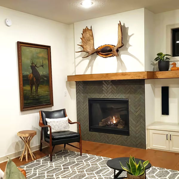 Majestic Mercury Direct Vent Fireplace - 32" M37100023