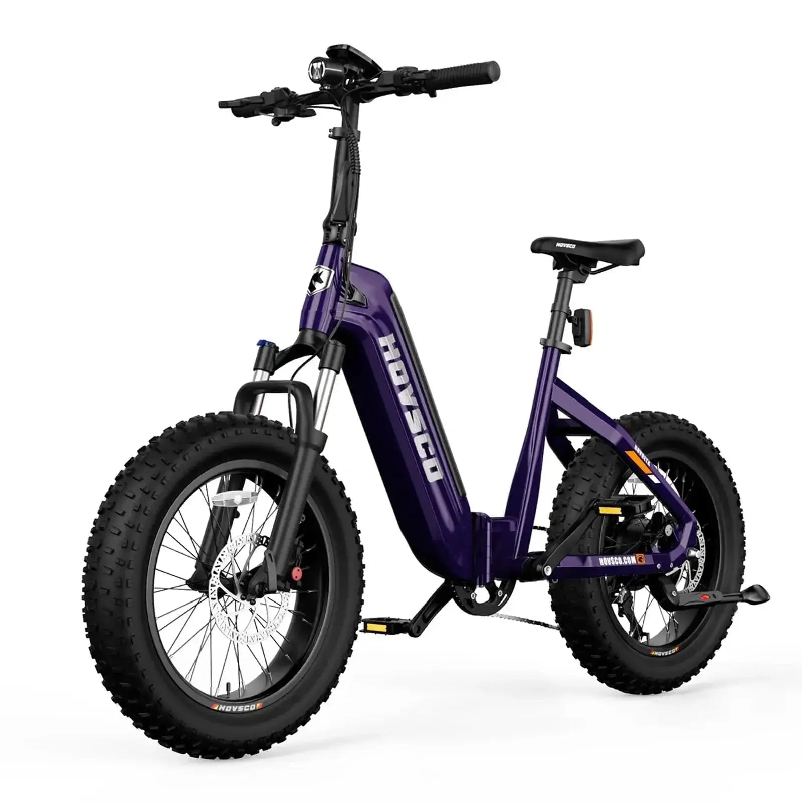 HOVSCO HovBeta 20" Foldable Fat Tire Electric Bike