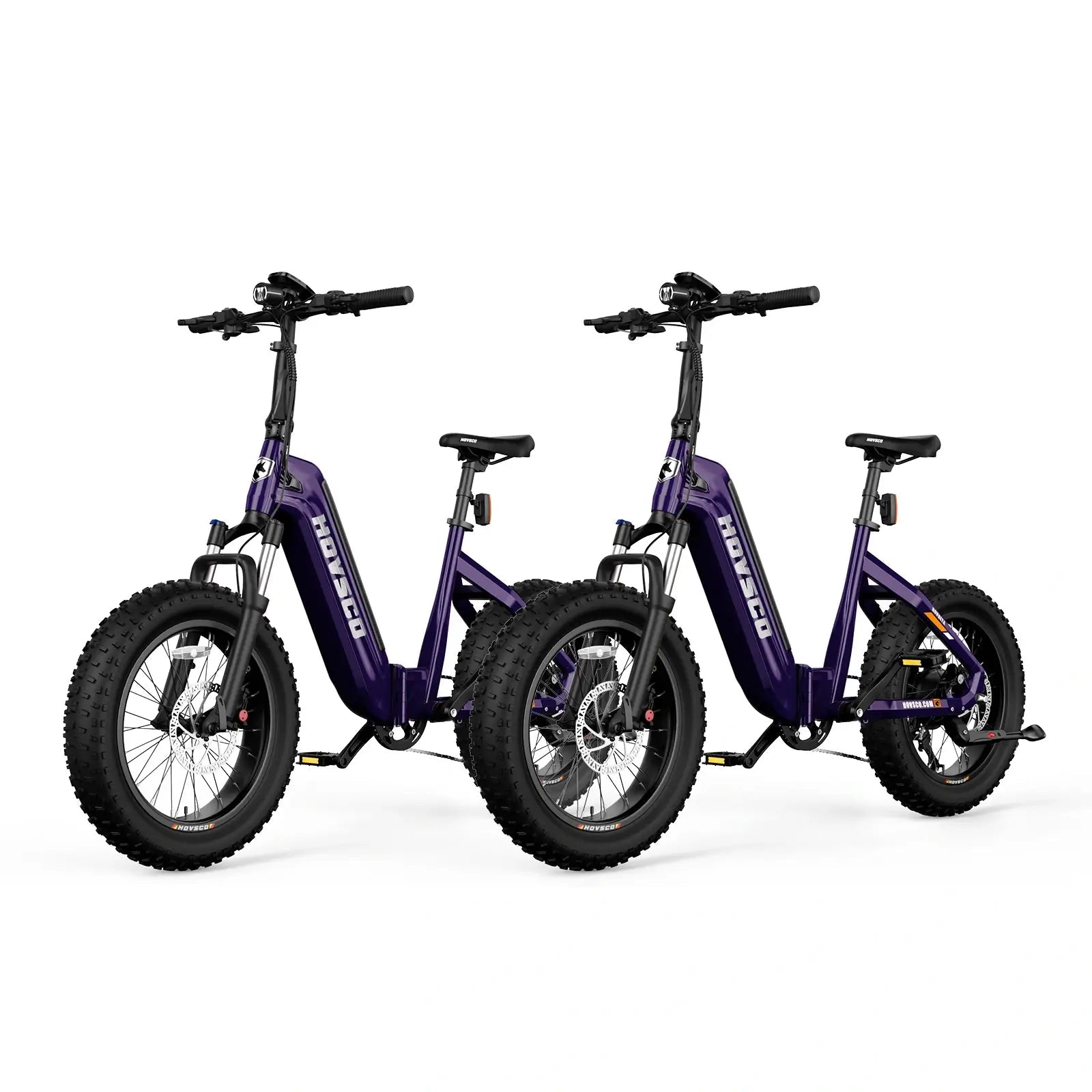 HOVSCO HovBeta 20" Foldable Fat Tire Electric Bike