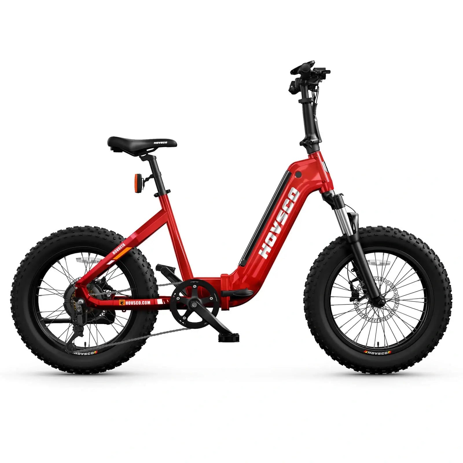 HOVSCO HovBeta 20" Foldable Fat Tire Electric Bike