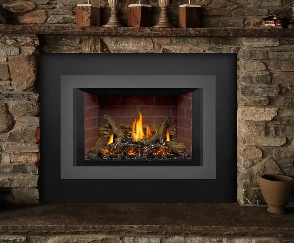 Napoleon Timberwolf 29 Inch TDI3 Bluetooth-Enabled Natural Gas Fireplace Insert with Logs - IPI (Modern) NPL-TDIX3N-1
