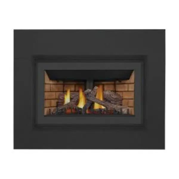 Napoleon 25 Inch Inspiration ZC Direct Vent Gas Fireplace Insert NPL-GDIZC