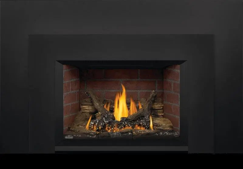 Napoleon 29 Inch Oakville 3 Direct Vent Gas Fireplace Insert (Modern) NPL-GDI3N