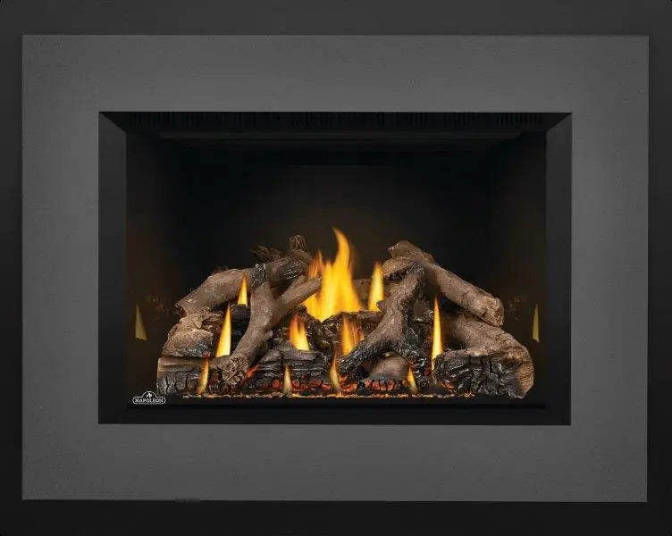 Napoleon 34 Inch Oakville X4 Direct Vent Gas Fireplace Insert (Modern) NPL-GDIX4N