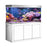 Aqua Dream 145 Gallon Tempered Glass Aquarium White and Silver AD-1260-WS