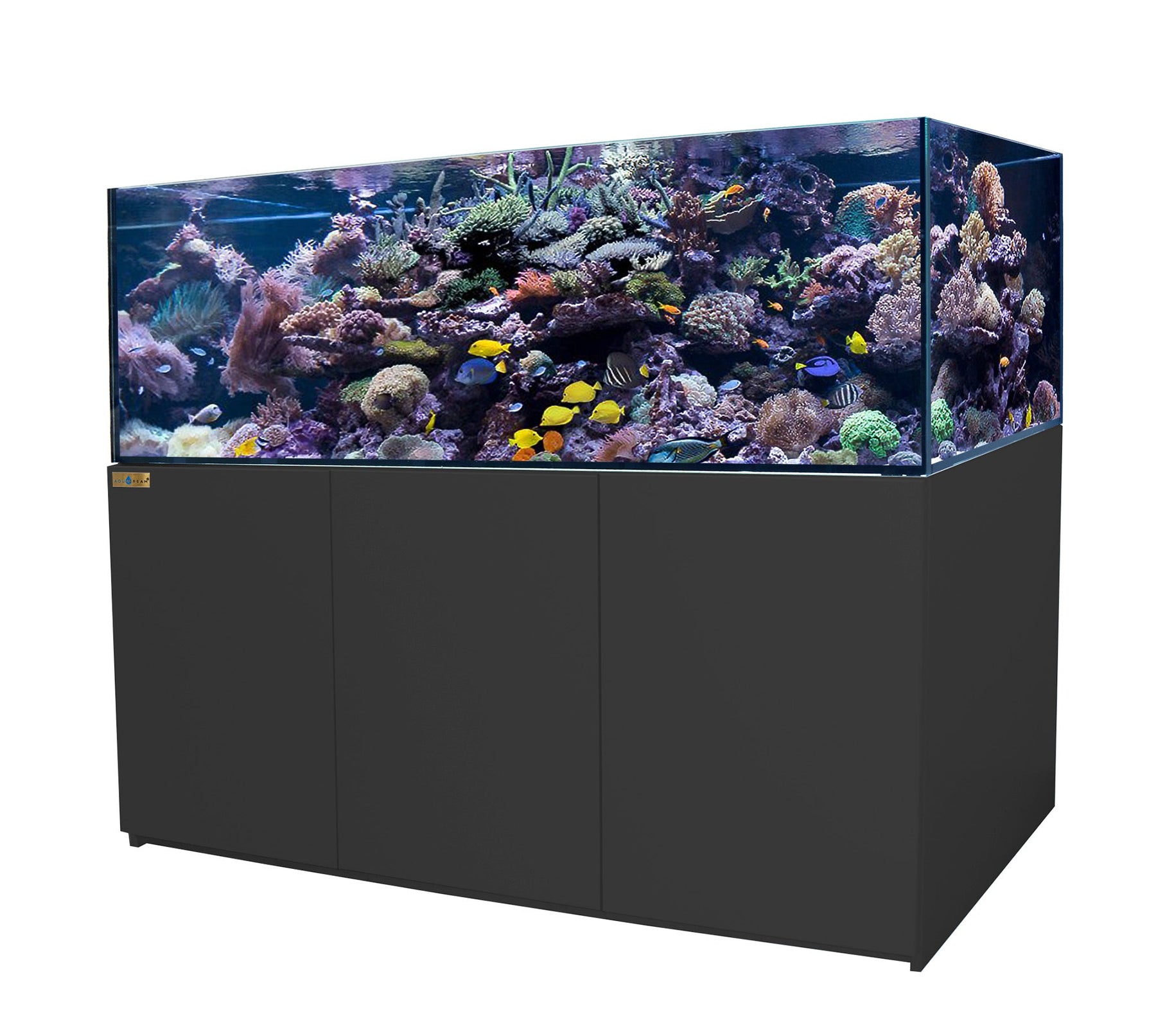 250 gallon fish tank