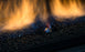 Sierra Flames 36" Palisade Gas Fireplace